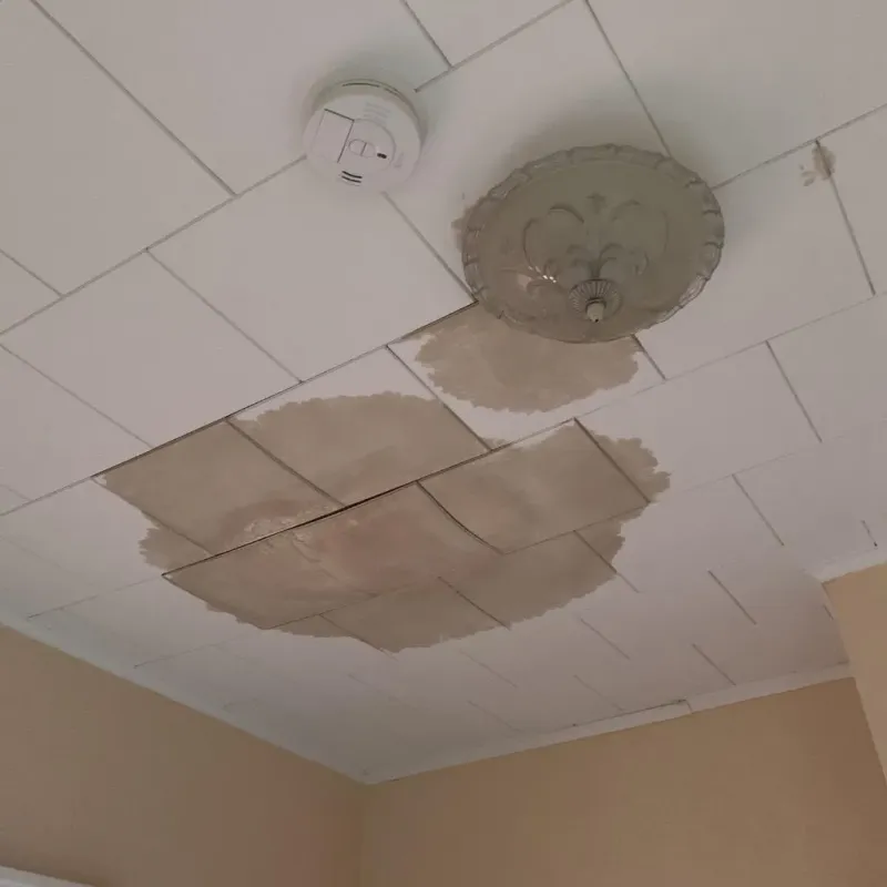 Ceiling Water Damage Repair in Versailles, MO