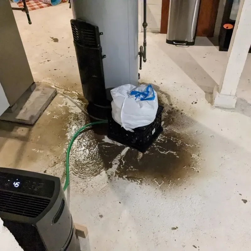 Sewage Backup Cleanup Service in Versailles, MO